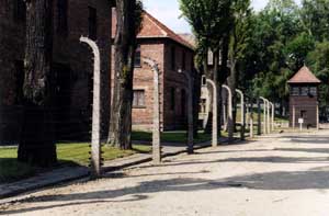 Polen, Auschwitz