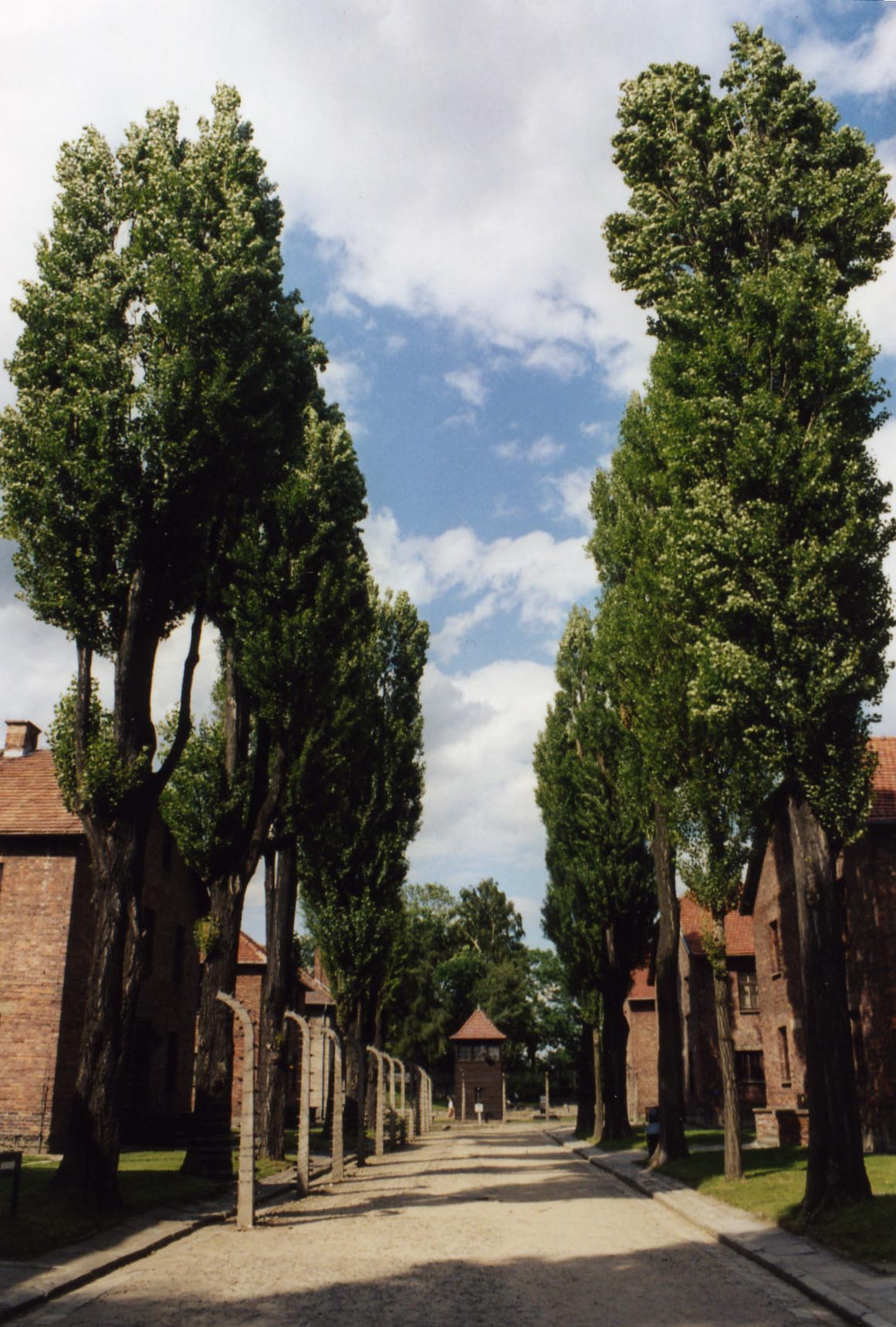 Polen, Auschwitz